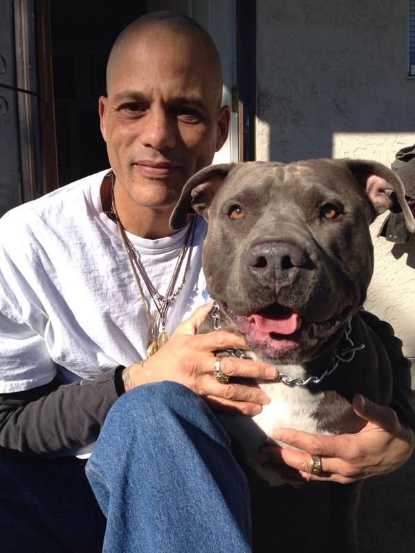 david Labrava